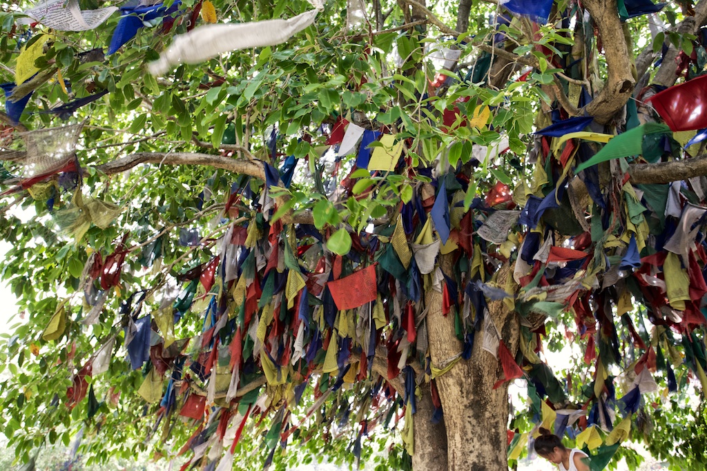 Birthplace of Buddha 10