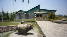 jeep safari cost in chitwan national park