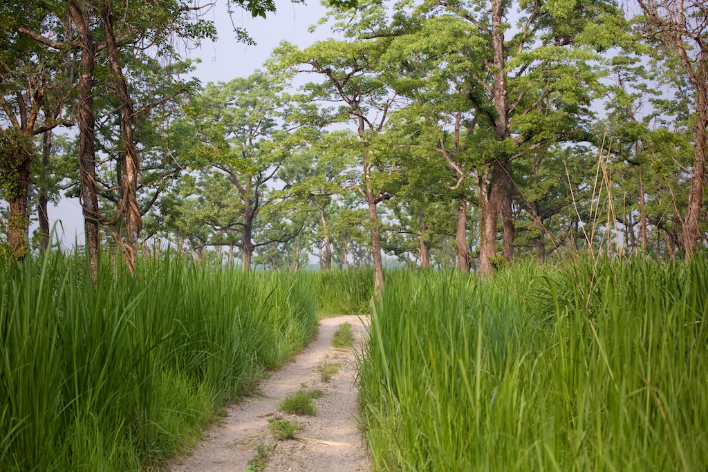 Safari Chitwan National Park 10