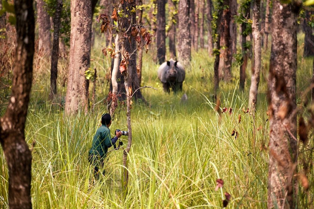 Safari Chitwan National Park 3