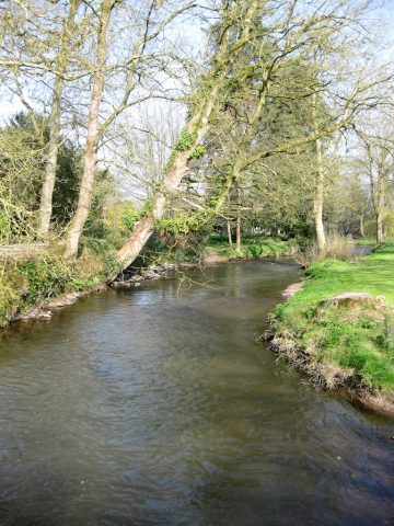 Blarney Stone 4