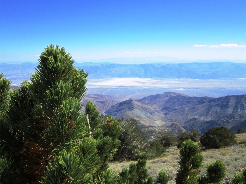 Telescope Peak 10