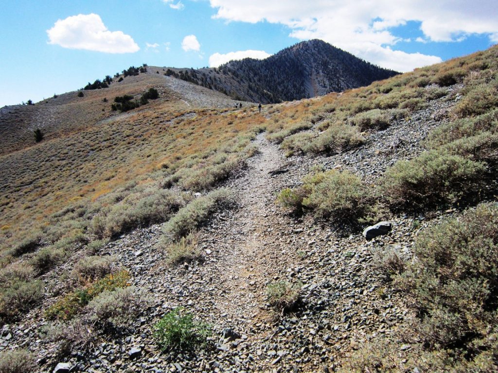 Telescope Peak 11