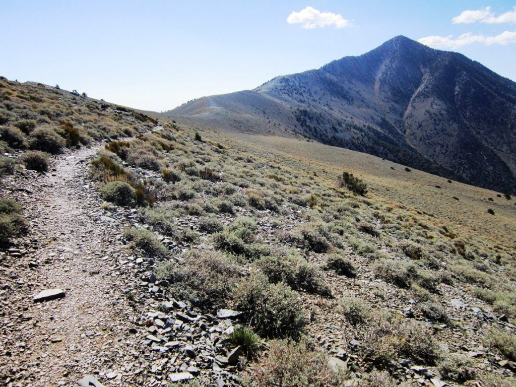 Telescope Peak 13