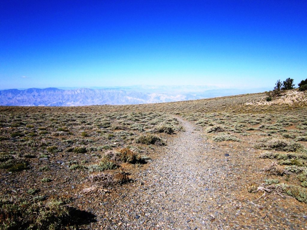 Telescope Peak 15