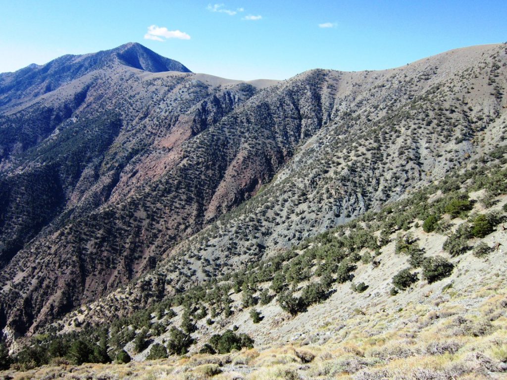 Telescope Peak 16