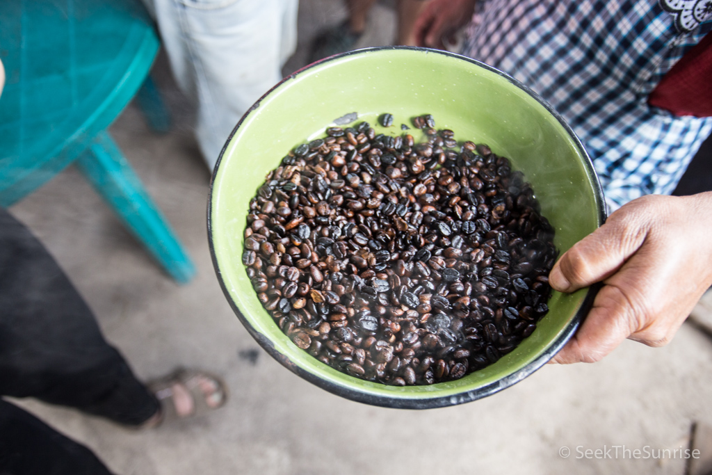 Coffee Farming Guatemala-11