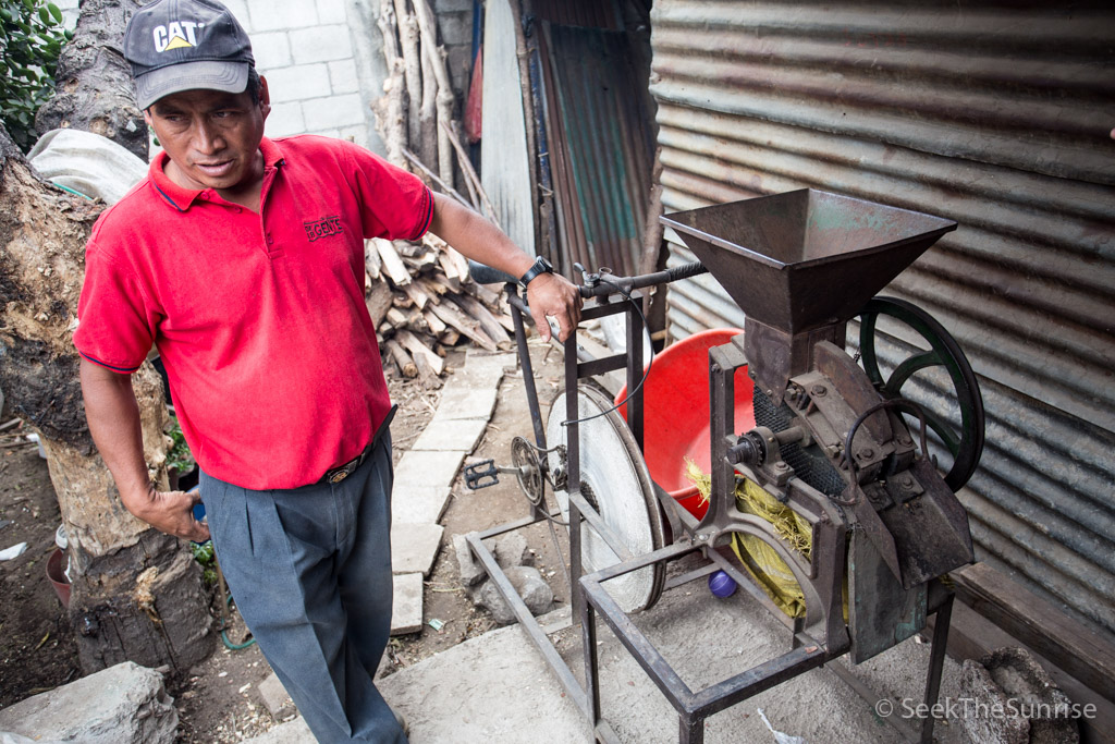 Coffee Farming Guatemala-8