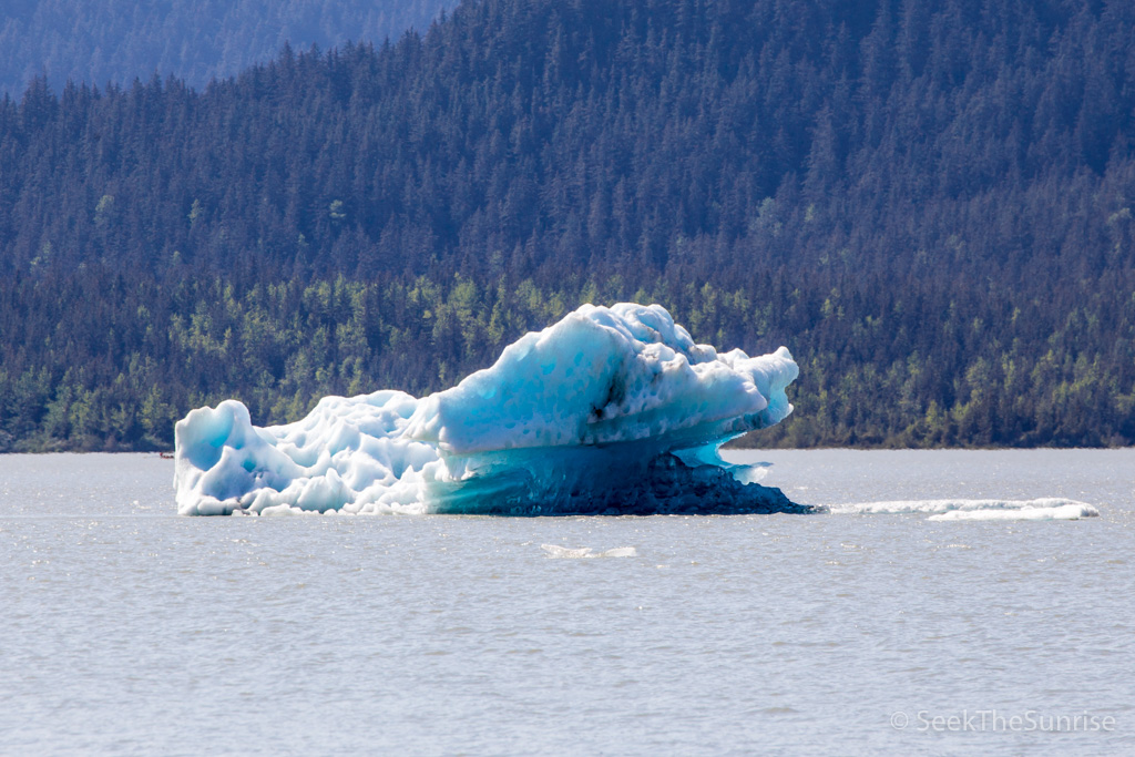 Mendenhall Glacier-18