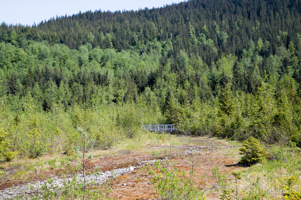 Mendenhall Glacier-9