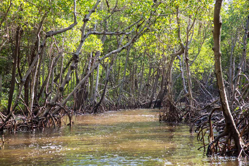 everglades air boat-10