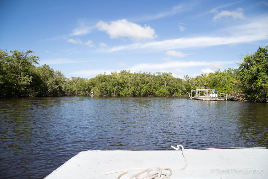 everglades air boat-4