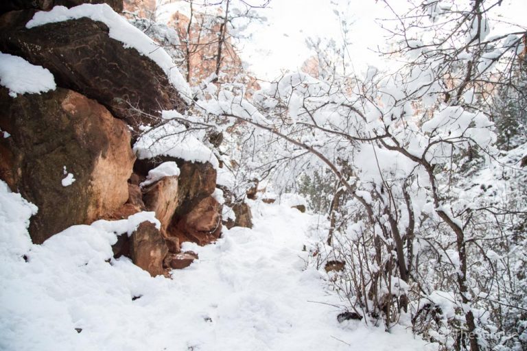 Kayenta Trail to Emerald Pools in Zion National Park Best Winter Hike Through My Lens