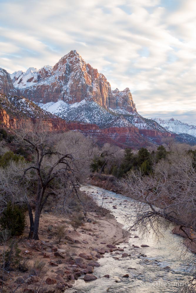Zion National Park Winter-8
