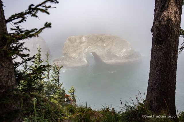 road trip on highway 101