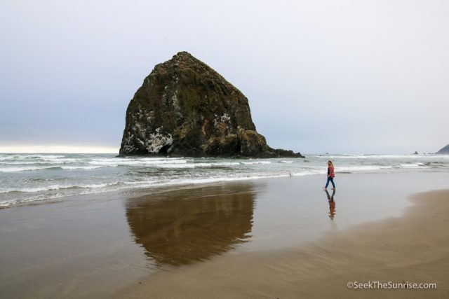 road trip on highway 101