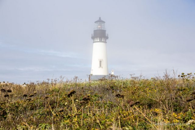 road trip on highway 101