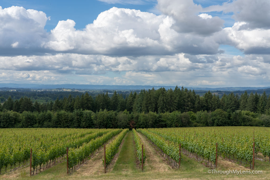 3 Days in Oregon’s Tualatin Valley Where to Eat, Drink and Explore