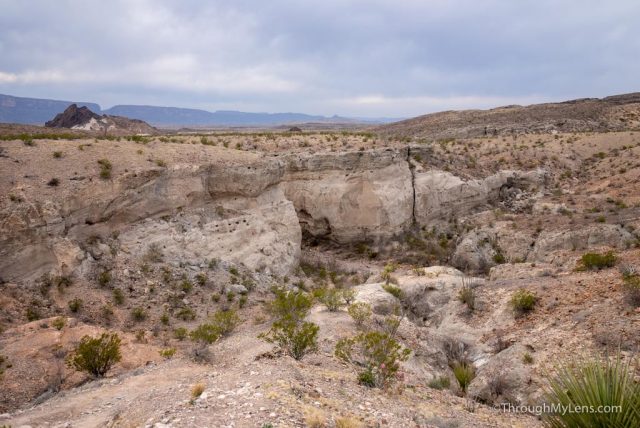 Tuff Canyon Overlook And Trail At Big Bend National Park