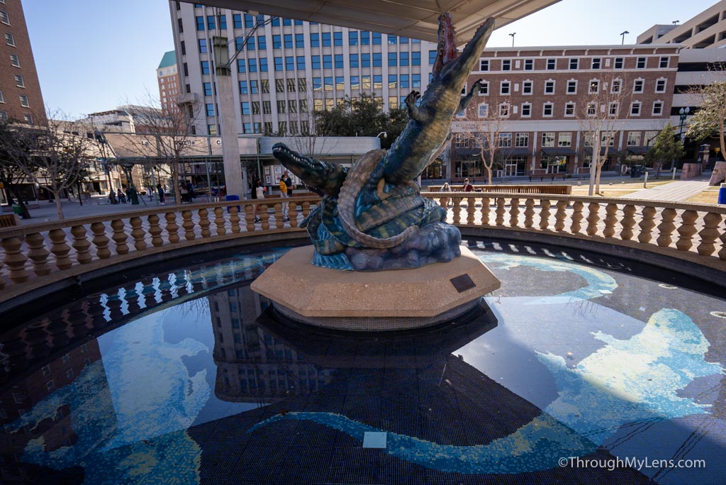 12 Things to do in El Paso Through My Lens