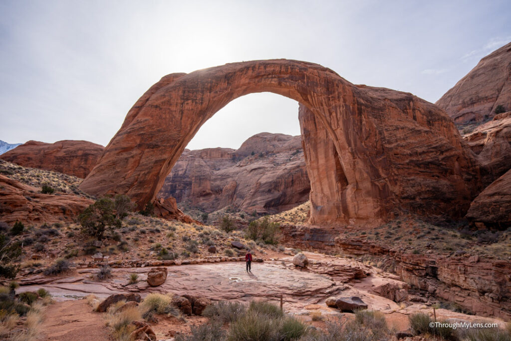 rainbow bridge monument boat tour