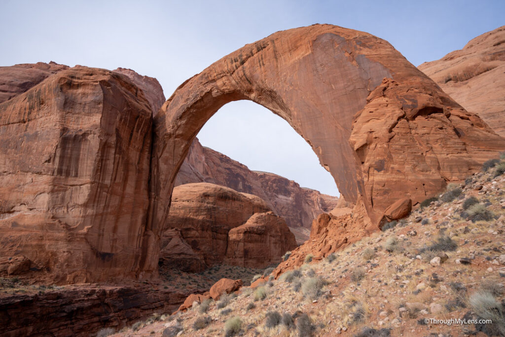 rainbow bridge monument boat tour