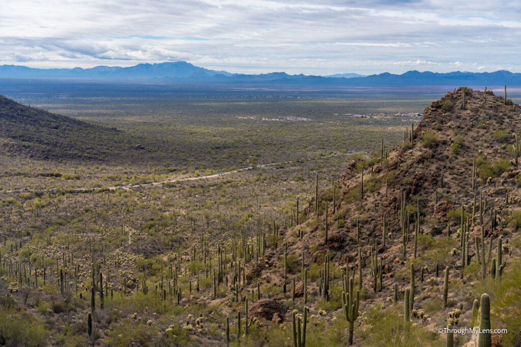 texas to arizona road trip